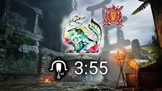 【MHR:SB】特別討究ジンオウガ 3:55.94 ライトボウガン 盟友 / Special Investigation Zinogre LBG solo