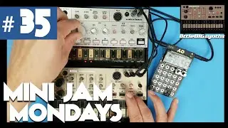 Mini Jam Mondays #35 | Korg Volca Bass, Volca Keys, & Teenage Engineering PO-32 Tonic