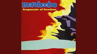 Fragments of Freedom
