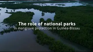 The role of national parks in the conservation of mangroves in Guinea Bissau