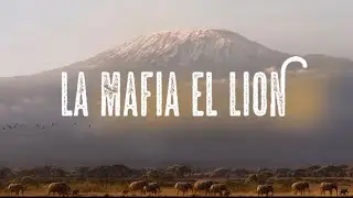 LAMAF - EL LION 🦁(CLIP OFFICIEL)