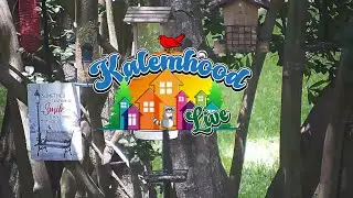 Kalemhood LIVE STREAM - Kalem,MS 🟢 Live Scott County,MS Scanner Audio