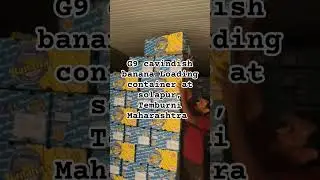 Export G9 cavindish banana loading container #export #import #logistics #agriculture #bananaexport
