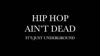 Red Hot Lover Tone - In The Game Ft. Big Daddy Kane