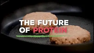 Beyond Meat Presents | A look Inside Beyond Meat&rsquo;s New Innovation Center