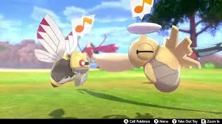 Ninjask and its Molted Skin