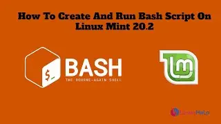 How To Create And Run Bash script on Linux mint 20.2