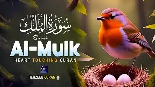 Surah Al-Mulk | Calming Quran Recitation for Protection & Peace | Tehzeeb Quran