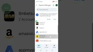 how to see the save  passwords on Google..