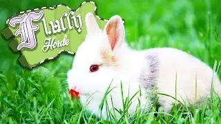 Adorable and Deadly! - Fluffy Horde Gameplay - Fluffy Horde Alpha