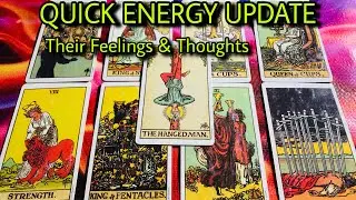 Quick Energy Update 💛💛 Their Feelings & Thoughts 💙💙 Timeless Tarot 🩷🩷 Hindi-Urdu 💚💚