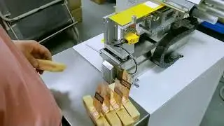 Testing video of dog chew labeling machine flag labels applicator for Belgium customer