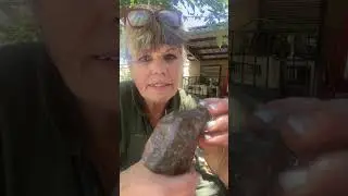 Cleaning & Sorting Some Fascinating Finds! 6/5/24