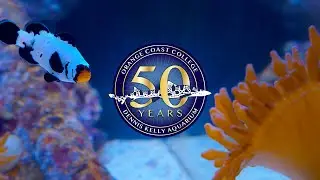 Dennis Kelly Aquarium 50th Anniversary