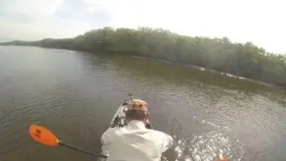 Upper Tampa Park  Fishing Double Branch Bay