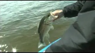 Ripley lake preview