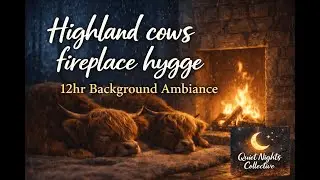 Highland cows fireplace hygge 12hr background ambiance.