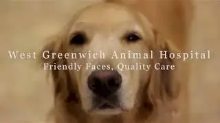 Introduction to West Greenwich Animal Hospital