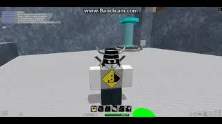 bug showcase