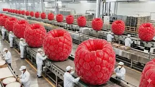 Inside the Largest US Factory: From Fresh Raspberries to Premium Juice (Full Process)
