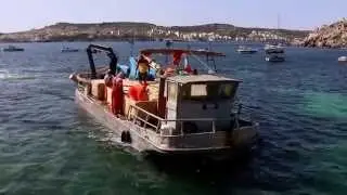 Eat Fresh Fish - Maltese Fish Farming