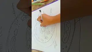 Creating a flip chart - part 1.                               