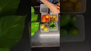 Fridge Storage Boxes Freezer Storage Container&rsquo;s 🫙#meesho 💓🫶#viral #subscribe 👍