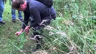 Robin Harford on Edible Wild Roots Part 1 of 2