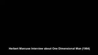 Herbert Marcuse Interview on One Dimensional Man