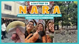 A DAYTRIP TO NARA! Nakatanidou Mochi Shop, Nara Deer Park, Okonomiyaki and Konbini Run