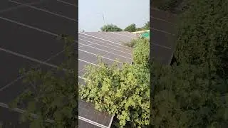 Bad 👎😡 conditions in solar penla #electrician #solarrepair #solarpower #shortsfeed #solar #shortnews