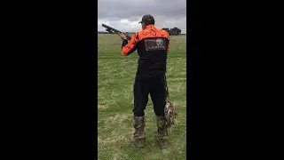 PARTRIDGE-DOVE HUNTS WİTH SHOTKAM