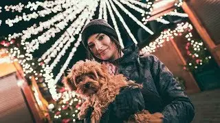 Alfies Weihnachtsreise