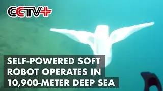 Chinese-developed Self Powered Soft Robot Operates in 10,900-meter Deep Sea