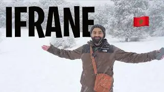 A day in Ifrane Morocco | Switzerland of Africa!
