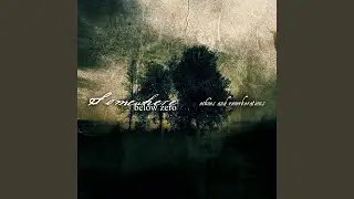Why I Forget (Acoustic)