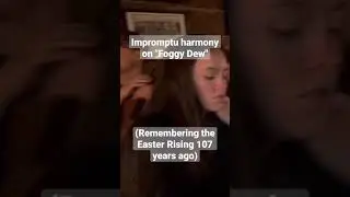 When an Irish rebel song gets impromptu harmonies  🇮🇪☘️❤️#irishmusic #irishsongs #rebellion
