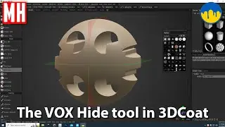 3DCoat series #21 : The VOX Hide tool in 3DCoat