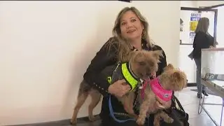 Beyond the Border: Americans save money on pet care in Tijuana