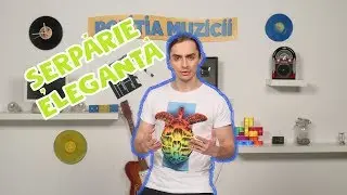 Politia Muzicii: GENERATIA '99 - Doua Limbi, LINO - Panamera, DELIRIC