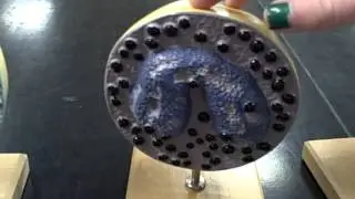 Formed Elements