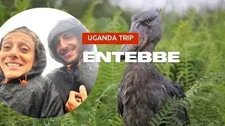 Uganda first impressions - Arriving in Entebbe