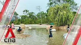 Lakeside Garden opens to the public