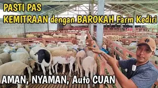 MITRA BAROKAH FARM Kediri, KESUKSESAN BUTUH KEPASTIAN