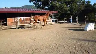 P1010821