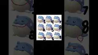 Which Spheal Collar Fit is the Best? #pokemon #spheal