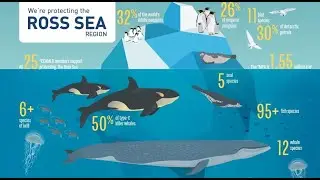 The Ross Sea: Summed up in 5 Minutes