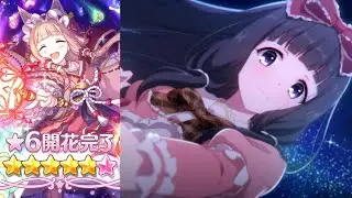 『プリコネR』星6マホ 姫宮真歩 全12話 (CV#内田真礼) 　Maho ★6 character story　公主連結 6星 咕嚕靈波（ ′∀‵）ノ全劇情故事　プリンセスコネクト！Re:Dive