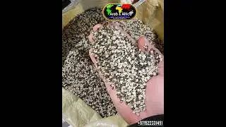 Urad Dal Split. Urad Split. Black Gram Dal. Urad Dal Black Whole. Urad Dal Black Split. Urad Dal.