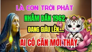 Bí Mật Lần Đầu Tiết Lộ: Nhâm Dần 1962 Có CĂN LÀNH - PHÚC DÀY - MỆNH LỚN, Không Xem Là Hối Hận cả đời